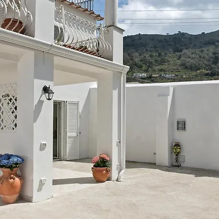 招待所 La Limonaia Capri